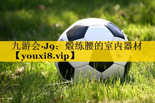 九游会·J9：煅练腰的室内器材