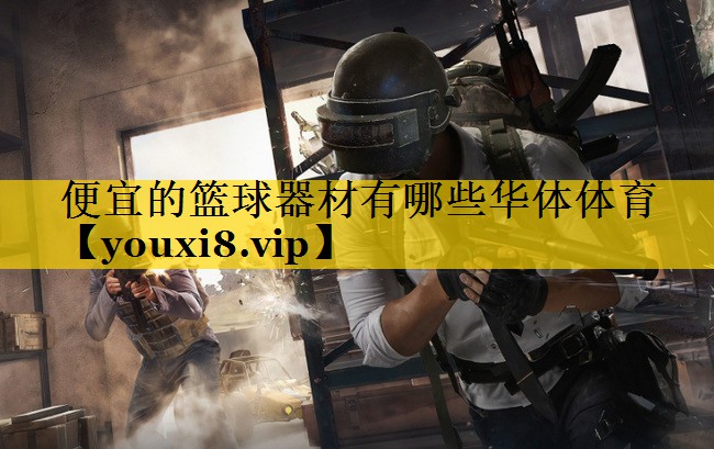 便宜的篮球器材有哪些华体体育