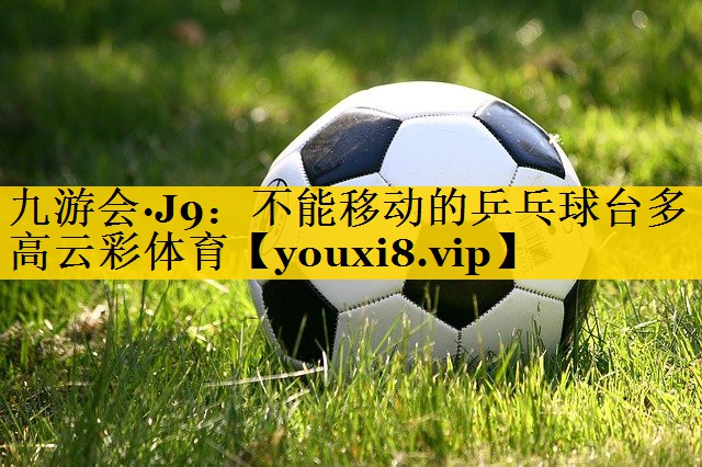九游会·J9：不能移动的乒乓球台多高云彩体育