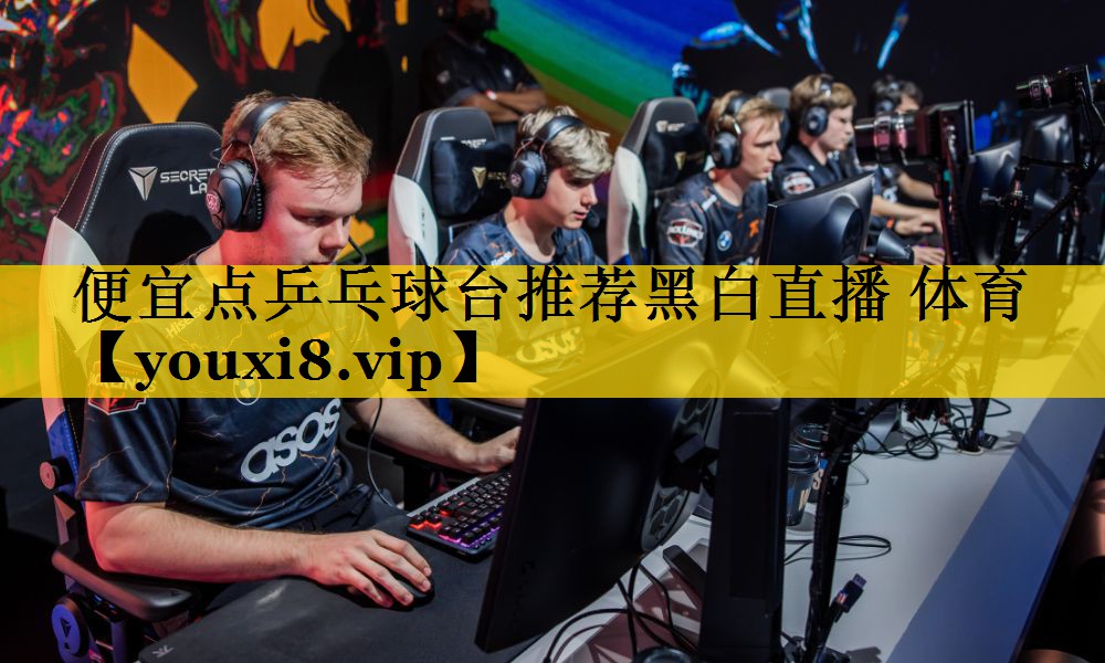 便宜点乒乓球台推荐黑白直播 体育