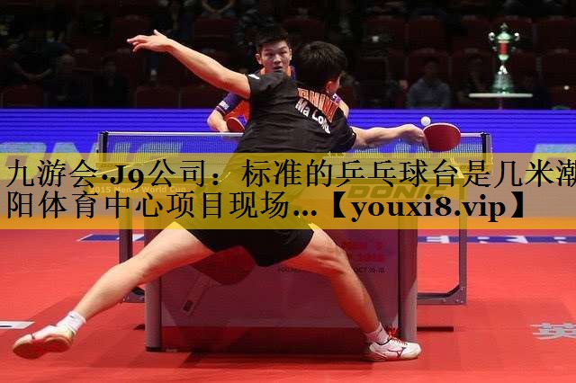 九游会·J9公司：标准的乒乓球台是几米潮阳体育中心项目现场…