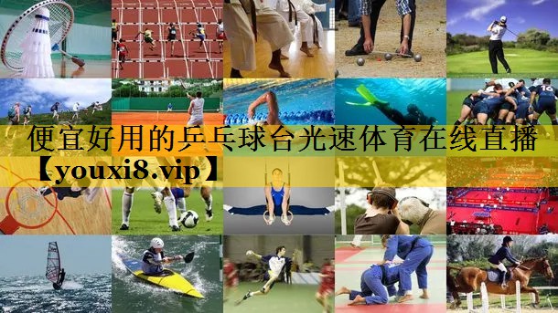 便宜好用的乒乓球台光速体育在线直播
