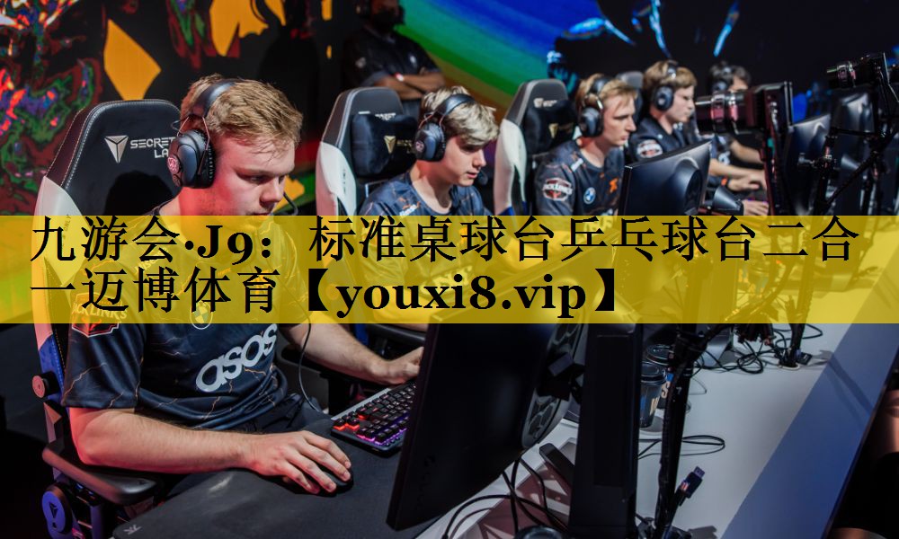 九游会·J9：标准桌球台乒乓球台二合一迈博体育