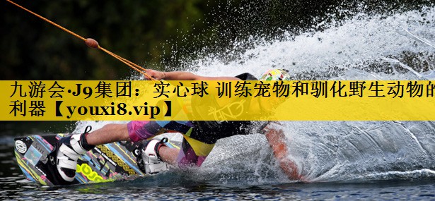 实心球 训练宠物和驯化野生动物的利器
